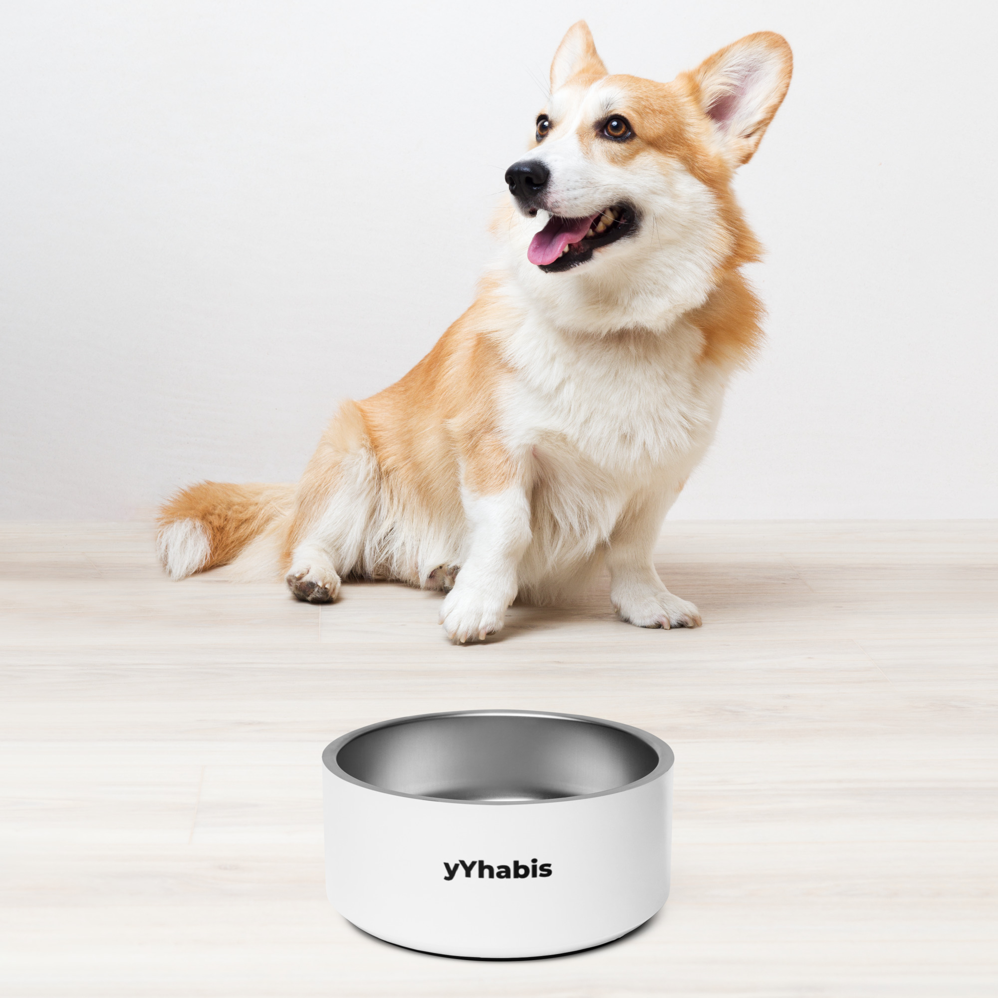 yYhabis Pet Bowl - Image 4